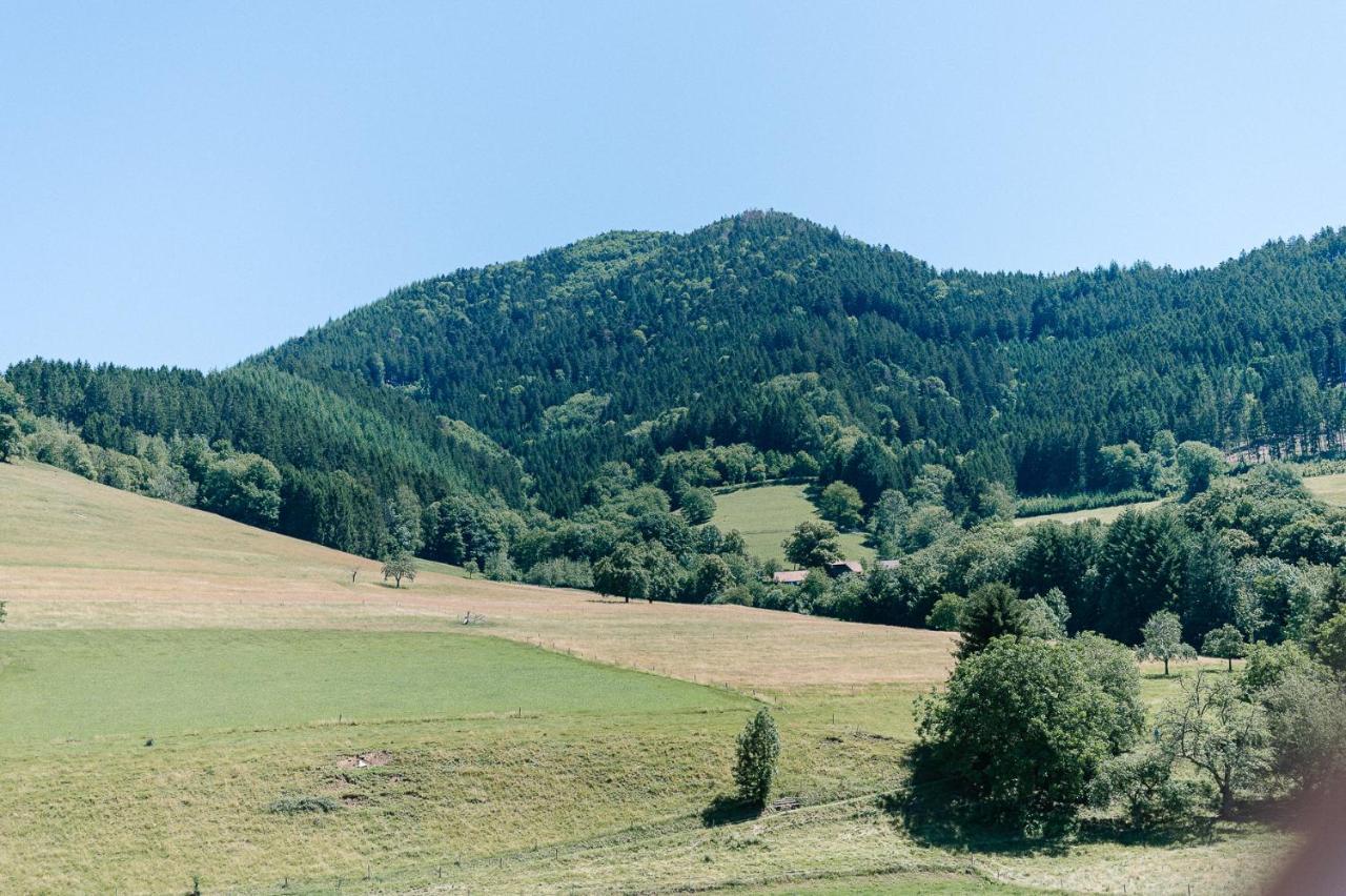 Rustikale 3 Zi.-Fewo Naehe Freiburg 70Qm سيمونسوالد المظهر الخارجي الصورة